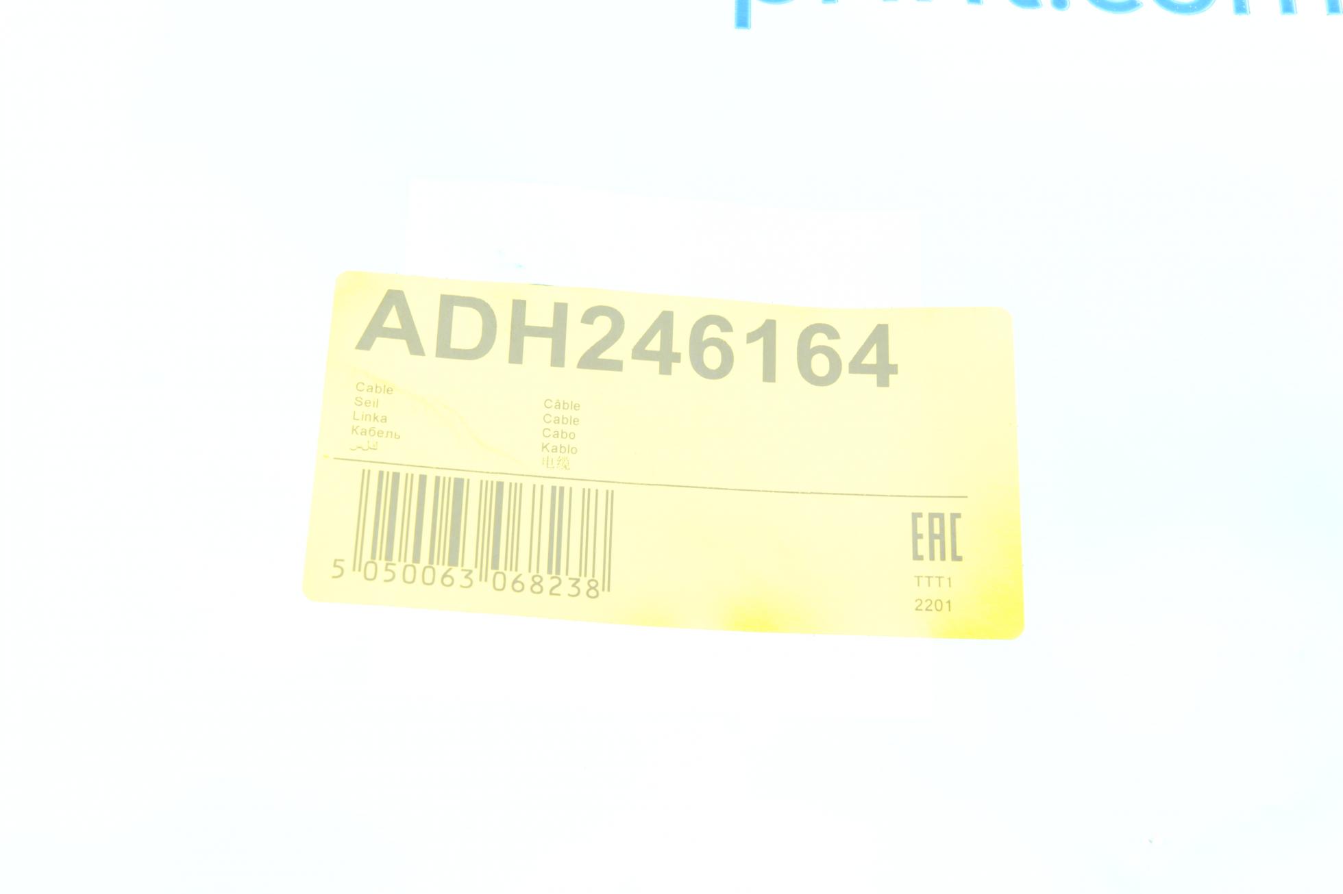 ADH246164 BLUE PRINT